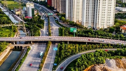 Bài toán giữ chân “đại bàng” nhìn từ việc áp thuế tối thiểu toàn cầu