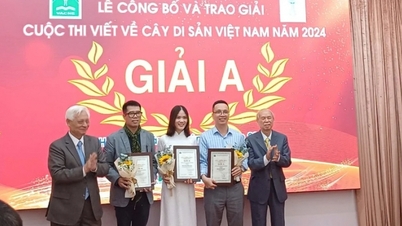 Нагородження 25 робіт на конкурсі письма про в'єтнамські дерева-історії