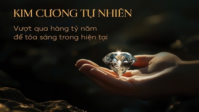 ស្វែងយល់អំពីឧត្តមភាពនៃគ្រឿងអលង្ការពេជ្រធម្មជាតិ