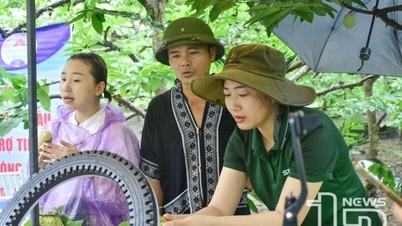 Team nông sản đặc sản Thái Nguyên: Giúp nông dân đưa nông sản vươn xa
