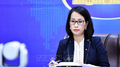 Bà Phạm Thu Hằng được bổ nhiệm làm Người Phát ngôn Bộ Ngoại giao