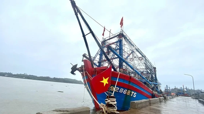 ការព្រមានអំពីខ្យល់បក់ខ្លាំង និងរលកខ្ពស់នៅសមុទ្រ