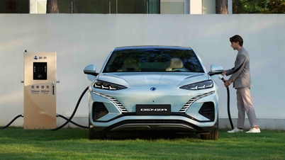 Carga rápida de coche eléctrico Denza N7 con dos puertos al mismo tiempo