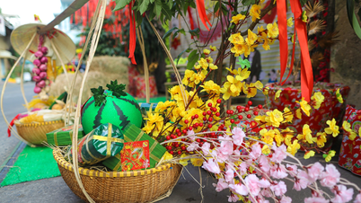 ពណ៌និទាឃរដូវបំពេញផ្លូវតូចៗក្នុងទីក្រុងហូជីមិញនៅមុនថ្ងៃ Tet