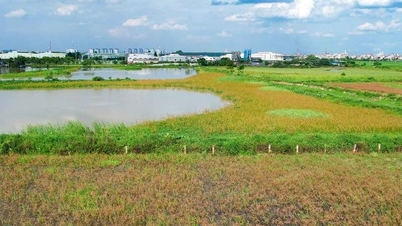 Hà Nội: Khu đô thị vẫn &quot;nằm trên giấy&quot;, đất dự án hóa trạm trộn bê tông