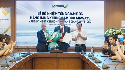Bamboo Airways bổ nhiệm ông Lương Hoài Nam làm Tổng Giám đốc