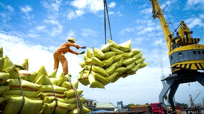 Cơ hội vàng cho thương hiệu gạo Việt Nam