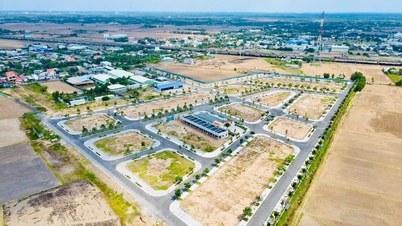 Long An real estate market still lacks buyers