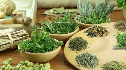 Death due to treating hepatitis B with herbal medicine of unknown origin