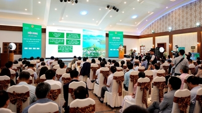الربط الإقليمي لتعزيز تطوير التجارة الإلكترونية