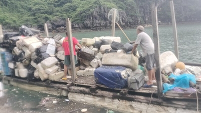 Styrofoam buoys are floating all over Ha Long Bay again
