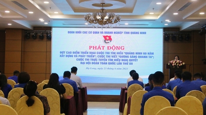 Đoàn Khối các cơ quan và doanh nghiệp tỉnh: Sơ kết công tác Đoàn và phong trào thanh niên 6 tháng đầu năm