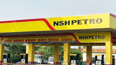 ‘Điểm tên’ các công ty nợ thuế hơn 100 tỷ ở TP Cần Thơ, có 'đại gia’ xăng dầu
