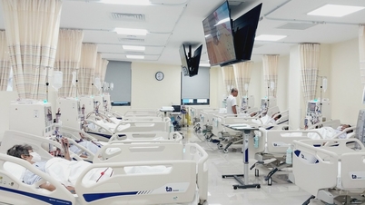 បញ្ហាទូទៅអំឡុងពេល hemodialysis