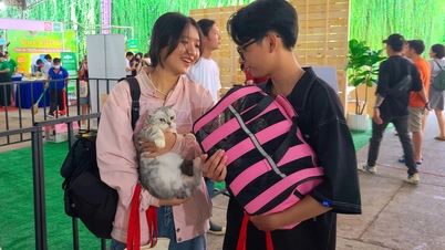 ទោះបីជាមានការលំបាកផ្នែកសេដ្ឋកិច្ចក៏ដោយក៏ឧស្សាហកម្មសត្វចិញ្ចឹមនៅតែមើលឃើញកំណើនពីរខ្ទង់