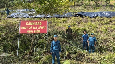 De longues fissures apparaissent sur la colline, Bac Giang évacue d'urgence 30 ménages