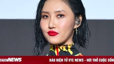 Sao Hàn 25/11: Ném nón lá khi biểu diễn ở Việt Nam, nữ idol Hàn Quốc gây phẫn nộ
