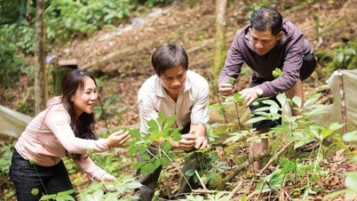 Các bộ, địa phương góp ý Đề án Phát triển, hình thành Trung tâm công nghiệp dược liệu