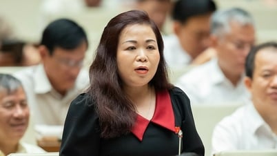 'There is no shortage of dedicated people, just need a strong enough salary policy'