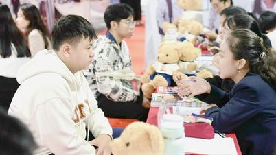 សាកលវិទ្យាល័យមួយចំនួននៅទីក្រុងហូជីមិញ គ្រោងនឹងកាត់បន្ថយ ឬលុបចោលការចូលរៀនដោយផ្អែកលើពិន្ទុប្រតិចារិកវិទ្យាល័យ។