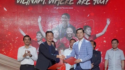 Nhờ dự World Cup, đội tuyển nữ Việt Nam lần đầu tiên có điều này