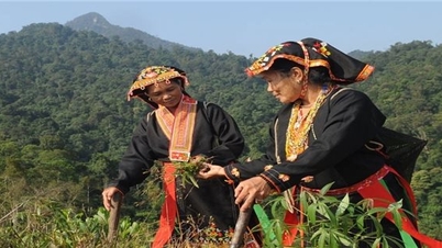 Bac Giang៖ ប្រគល់ប័ណ្ណសរសើរពីប្រធានគណៈកម្មាធិការជនជាតិភាគតិចខេត្តជូនសមូហភាព និងបុគ្គលដែលមានស្នាដៃឆ្នើមក្នុងដំណាក់កាល ២០១៩-២០២៤។