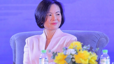 Giáo sư gốc Việt được Hiệp hội Hóa học Hoàng gia Anh vinh danh