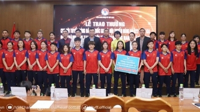 VFF ផ្តល់ប្រាក់រង្វាន់ដល់ក្រុមនារីវៀតណាម និង U22