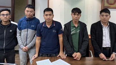 Khởi tố 5 đối tượng vụ trả giá 30 tỷ đồng/m2 đất ở Sóc Sơn