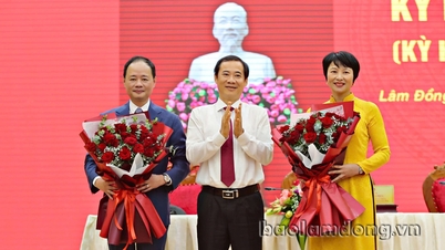 Elect Ms. Pham Thi Phuc to the position of Chairman of the Provincial People's Council and Mr. Tran Hong Thai to the position of Chairman of the Provincial People's Committee