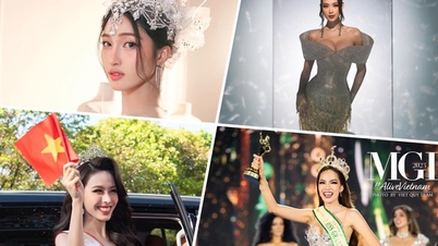 ឆ្នាំនៃសមិទ្ធិផលអន្តរជាតិសម្រាប់រាជនីសម្រស់ផ្កាឈូកមាស និងជើងឯករង