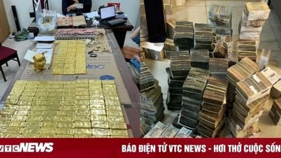 Vàng, tiền chất thành đống trong đường dây lừa đảo của TikToker Mr Pips