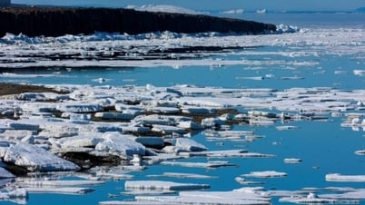 Arctic experiences warmest summer on record