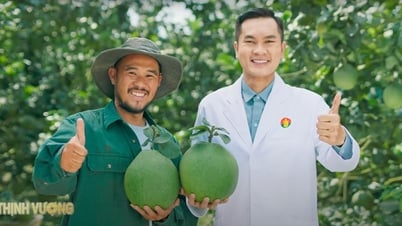 ជី Ca Mau និងការធ្វើដំណើរជាមួយឡានដឹកទំនិញ 'ដាស់' រដូវមាស