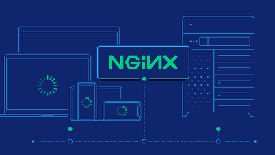 핵심 멤버가 보안 문제로 Nginx 프로젝트에서 탈퇴