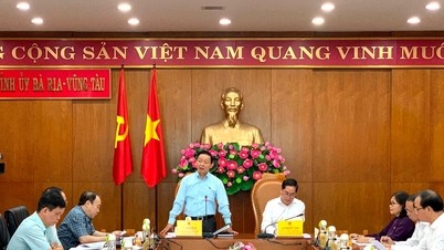 ឧបនាយករដ្ឋមន្ត្រី Tran Hong Ha ជួបប្រជុំដោះស្រាយការលំបាកសម្រាប់ "គម្រោងទំនើប" តម្លៃ ២ ពាន់លានដុល្លារនៅ Ba Ria - Vung Tau