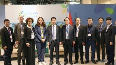 Tổ chức WWF các quốc gia cam kết tăng cường hợp tác với Việt Nam về môi trường, khí hậu