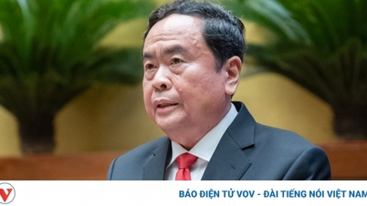 Mr. Tran Thanh Man holds the position of Member of the National Defense and Security Council.