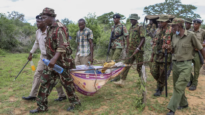19 more bodies discovered