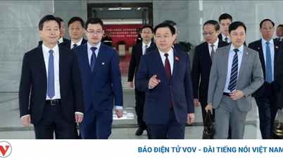 Chủ tịch Quốc hội thăm và làm việc tại Khu thí điểm thương mại tự do Thượng Hải