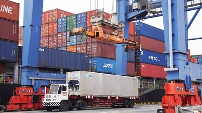 Opportunities for Vietnamese goods in the US market