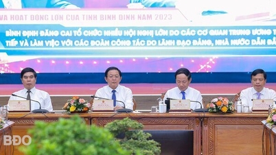 Quy mô kinh tế Bình Định đạt hơn 117 nghìn tỷ đồng, xếp thứ 24/63 địa phương