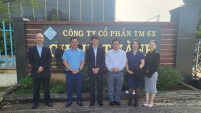 Bước chân nhỏ, hành trình lớn