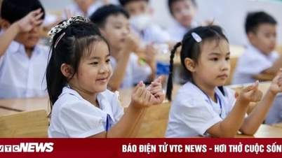 Nearly 40 provinces and cities announced tuition fees for the 2024 school year