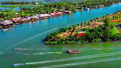 A Ca Mau ទម្លុះ​ចេញ​ហើយ​ឈោង​ចេញ