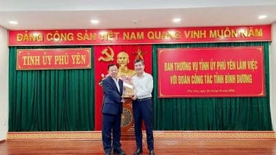 Becamex IDC – VSIP interested in urban and industrial park projects in Phu Yen