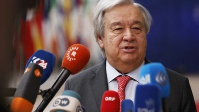L'ONU appelle à « cesser de monétiser les contenus préjudiciables »