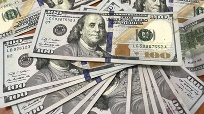 Giá ngoại tệ ngày 17/10/2024: Vì sao đồng USD đạt đỉnh cao nhất trong 11 tuần?