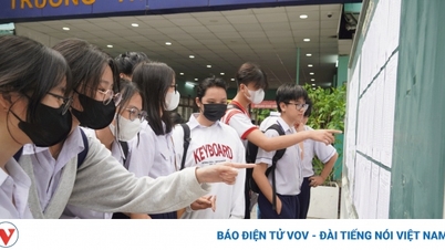 TP.HCM công bố điểm chuẩn vào lớp 10 chuyên