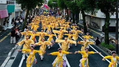 Vietnamese representative makes a good impression at Yosakoi Festival in Japan